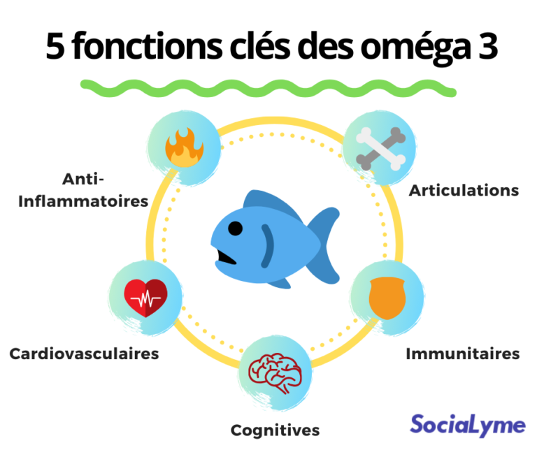 Les Oméga 3 Leurs Rôles Bénéfiques Sur Lorganisme Dossier