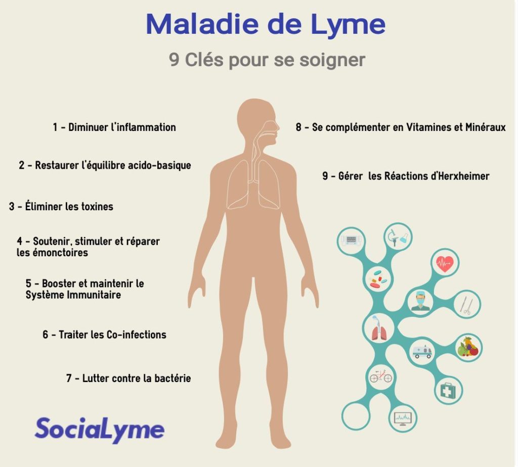 Soigner la maladie de Lyme - Les points clés