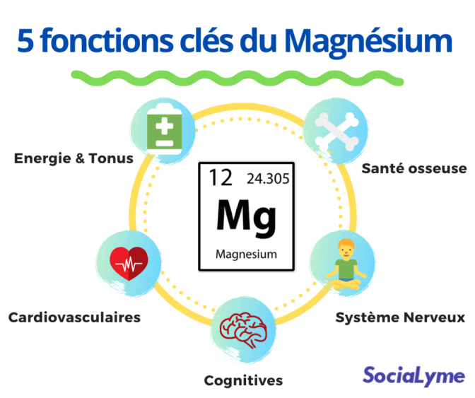 Comment Choisir Son Magnésium ? Tout ce qu'il faut savoir sur le Mg