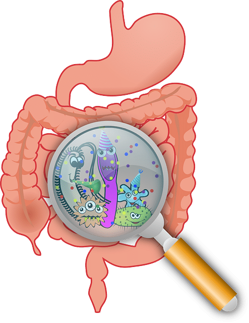 Microbiote-intestinal
