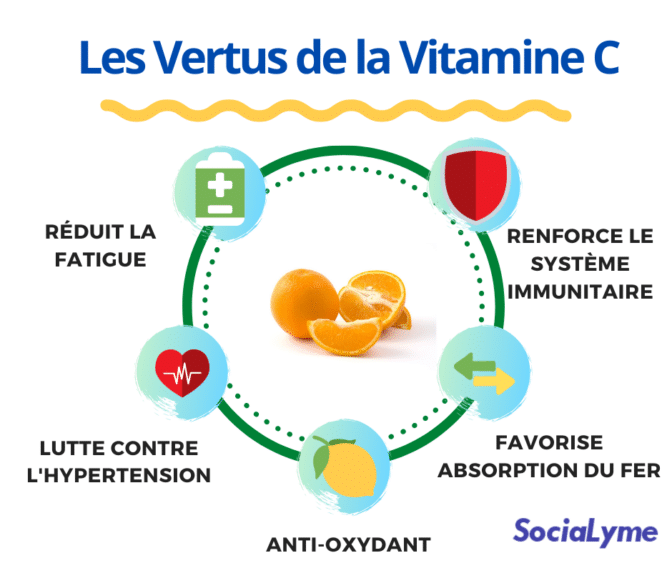 La Vitamine C, le dossier spécial pour réussir sa cure thérapeutique