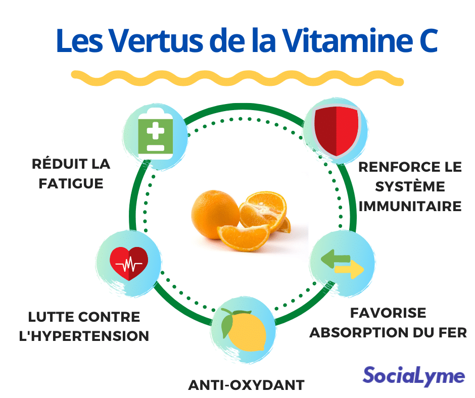 Vertus-de-la-vitamine-C