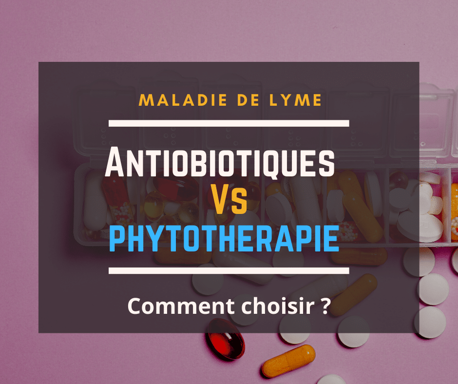Antibio vs Phytothérapie - Maladie de Lyme
