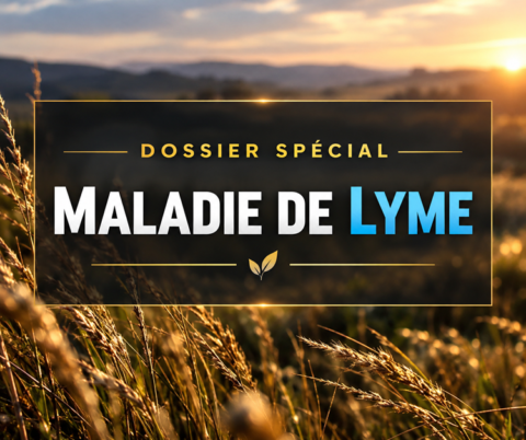 Maladie de Lyme dossier