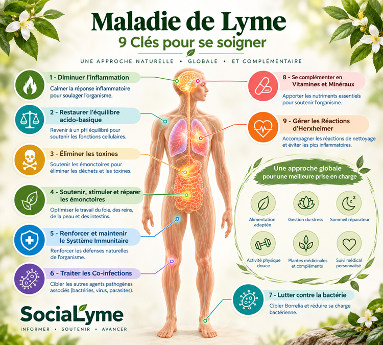 Maladie de Lyme soigner