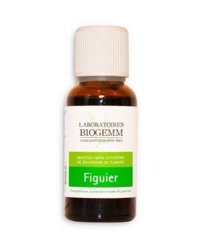 Biogemm Figuier