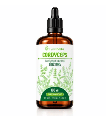 Cordyceps Mycelium