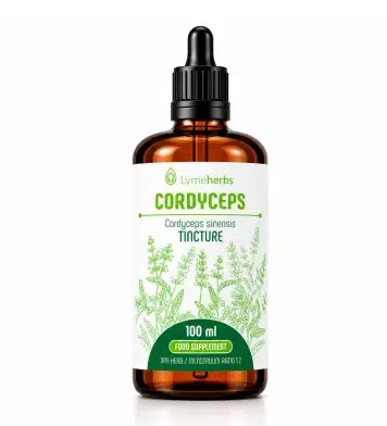 Cordyceps Mycelium Lymeherbs