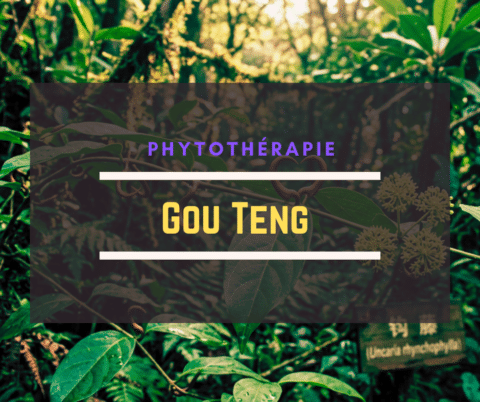 Gou teng Lyme