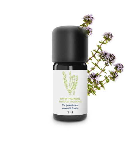 Huile essentielle Thym thujanol