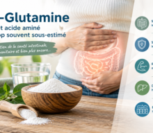 L-Glutamine, le dossier complet !