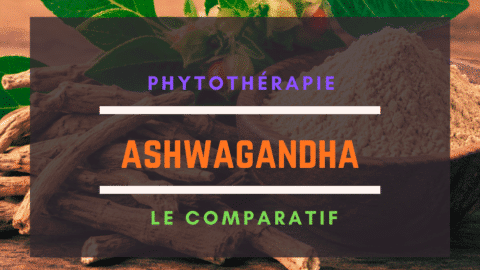 Meilleur Ashwagandha
