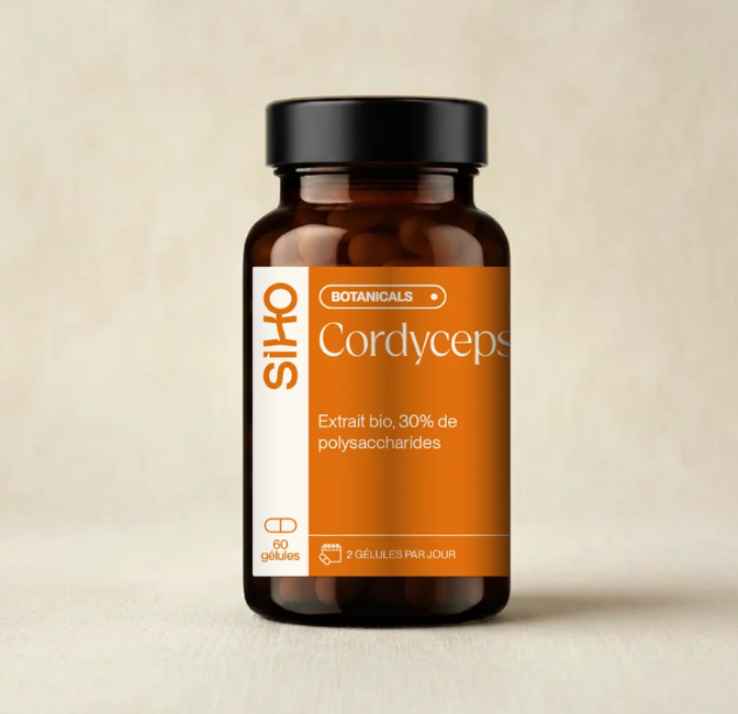 Siho Cordyceps Mycelium